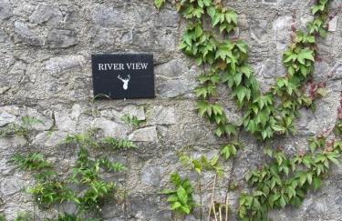 River View - Photo 3