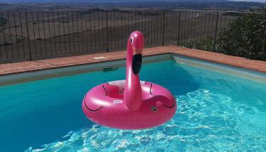 Crete Senesi House by FrancigenaApartments - Photo 2