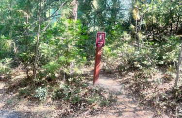 Sierra Haus Cottage with Private Lake Access - Photo 10