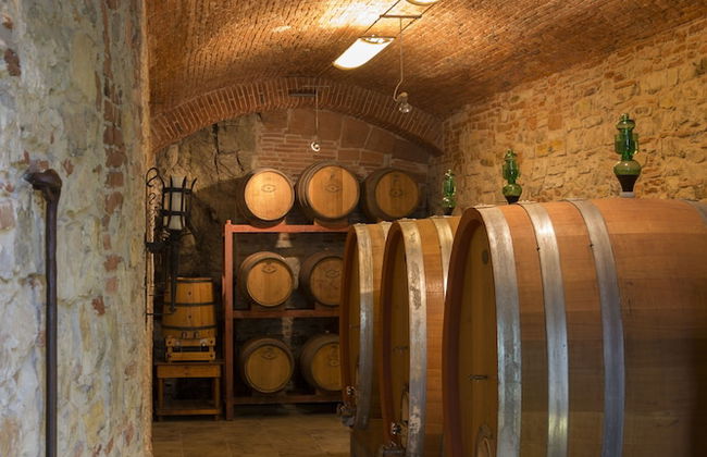 Castello di Volognano - Photo 71