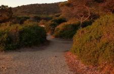 La Casa dei Pesci - Foto 45