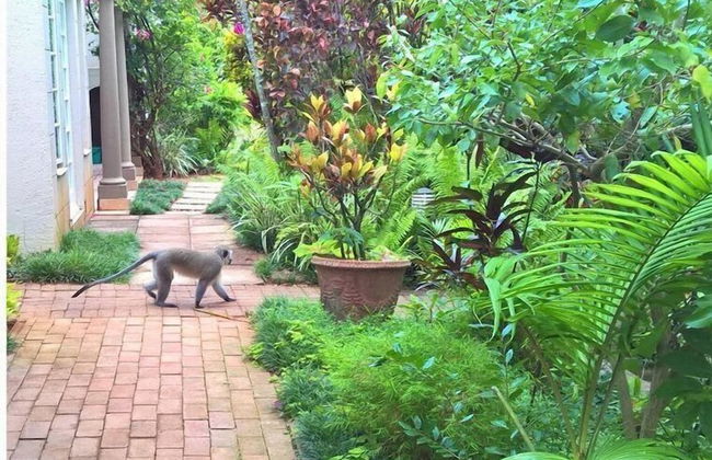 Villa Med 10 - Foto 21