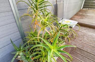 Cozy - Centre Historique - Gare à proximité - Grande Terrasse - Photo 18