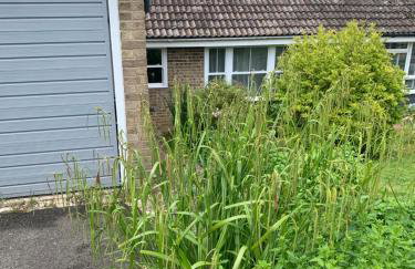 Boutique bungalow - Foto 2