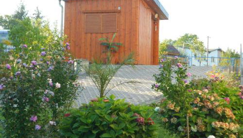 Crosta Brava - Photo 5, Garden view