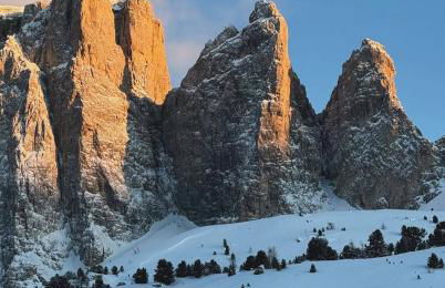 The Grey Lodge at Bosco Verde - Photo 34