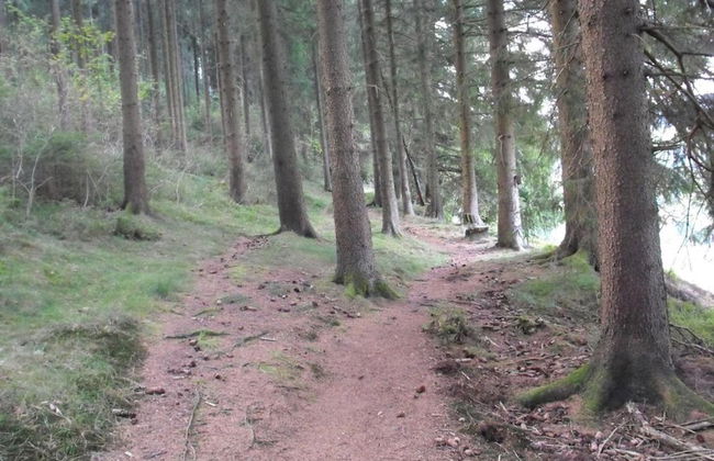 Apartment in Wildemann Near Hahnenklee Ski Area - Foto 22