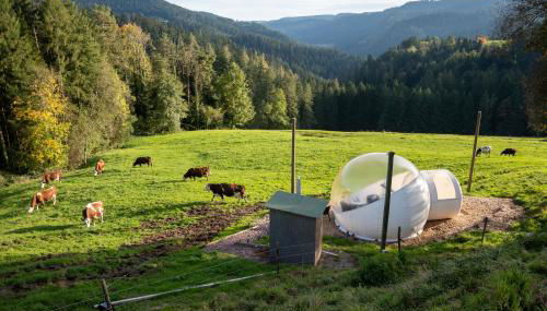 Hansjörgenhof Bioland-Hof - Foto 4