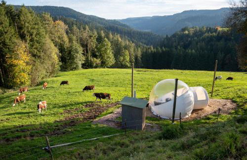 Hansjörgenhof Bioland-Hof - Foto 4