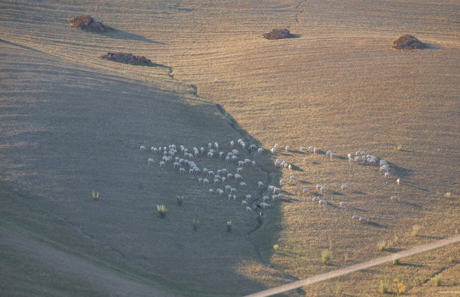 Rustic Tuscan Farmhouse - Foto 39