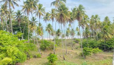 FLATS VALLE DEL SOL - Foto 3