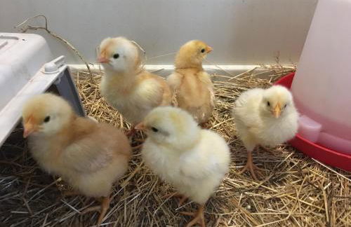 Agriturismo LaValleggia - Foto 119