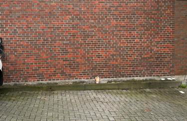 Großzügige, zentrale Ferienwohnung in Leer - Foto 23