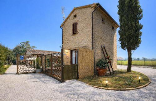 fattoria Coppetella Cemani - Photo 18