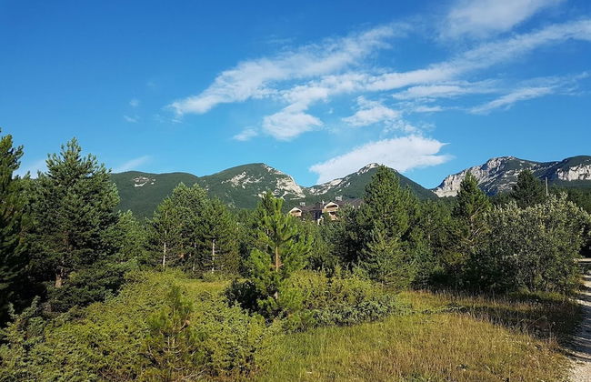 Apartmani BOSCO Blidinje - Photo 2