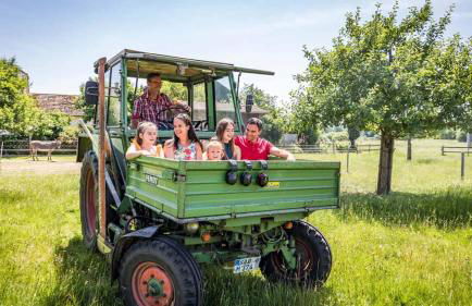 Urlaub am Regen – Ferienhof Dirnberger - Foto 76