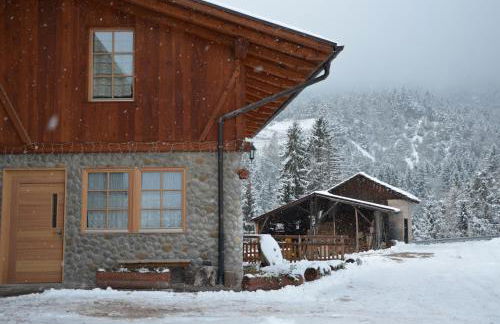 Agritur Maso Forcola - Photo 30