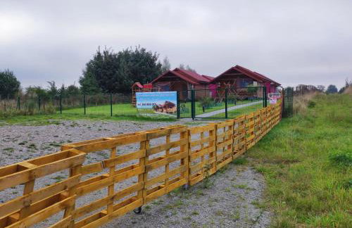 Domki Letniskowe U Żuni - Foto 49