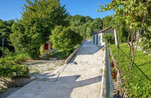 QUINTA do SOUTO BARCIADEMERA - Foto 12