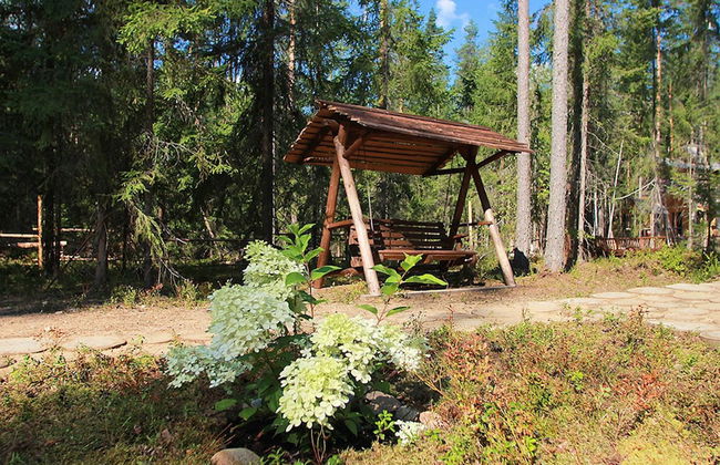 Shishki na Lampushke - Russkaya Derevnya - Foto 14