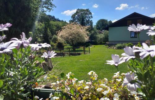 Smrek Sokolec Agroturystyka - Foto 22