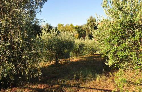 Il Mandorlo - Foto 42