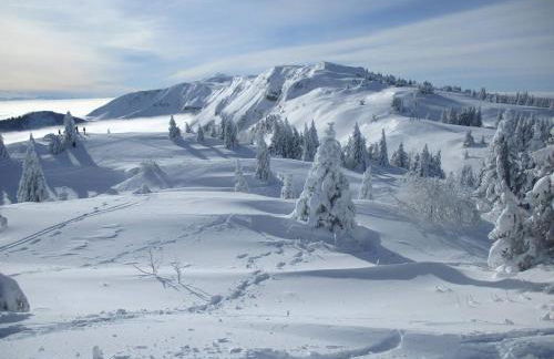 Central View - Near CERN,Geneva,UN - Free Parking - Foto 4