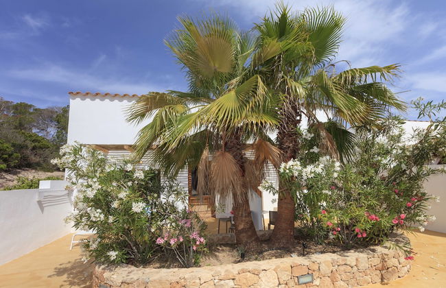 Es Pas Formentera Agroturismo - Photo 35