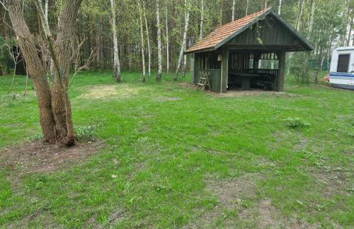 Dom Pod Brzozami Lipinki Bory Tucholskie basen - psy, koty mile widziane! - Photo 14