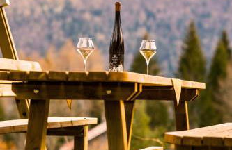 Chalet Relax Tra Le Vigne - Foto 11