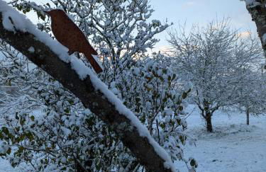 La Vieille Maison aux Canards - Foto 52