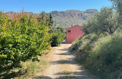 Casa Ramoncico. Finca el Campillo - Foto 49