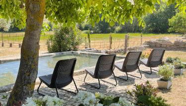 Quinta Vale da Prata - Foto 5, Garden, sunbed, Garden view