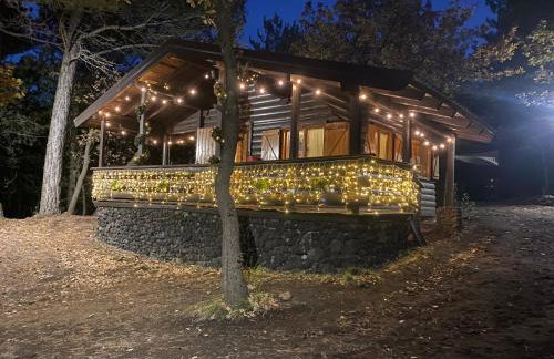 Woods Etna Chalet - Photo 30