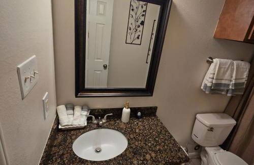 Modern Spacious Home Near the medical center, NRG, Downtown and UHD - Photo 40