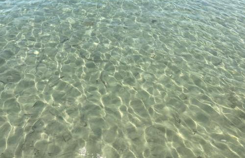 Seaside studio with swimming pool & parking #3 - Foto 25