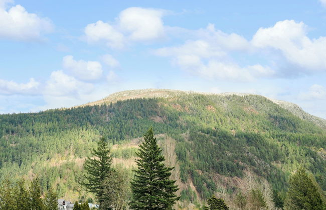 Breathtaking Bliss 2BR Penthouse - Photo 76