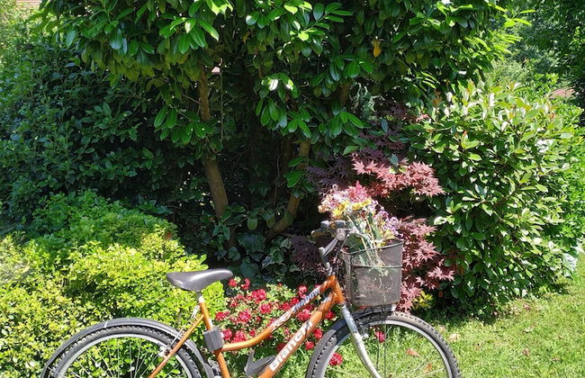 Sapanca Villa Natura Gol Evi - Foto 59