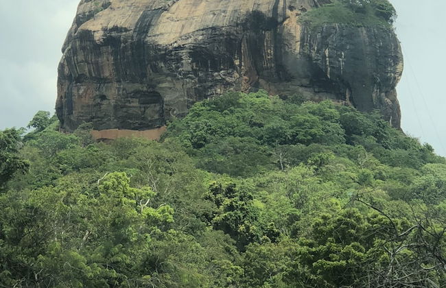 Natures Bliss Holidays - Photo 70