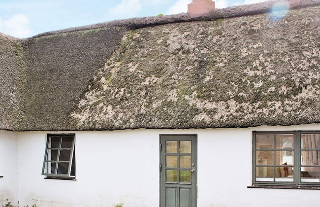 4 Person Holiday Home in Blavand - Foto 10