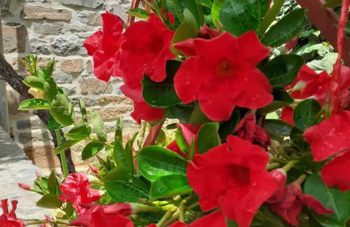 Antigoni Apartments 'Olive Room' - Foto 19