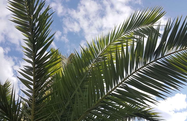 Rooms Milena - Triple Room With External Private Bathroom - Foto 17