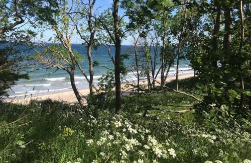 Ferienbauernhof Liesenberg Meerblickhaus Strandmuschel - Foto 75