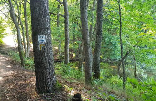 Słoneczny Dom - Foto 50