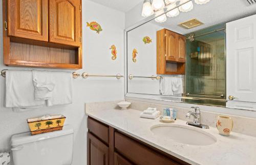 Commodore 0608 - Foto 18