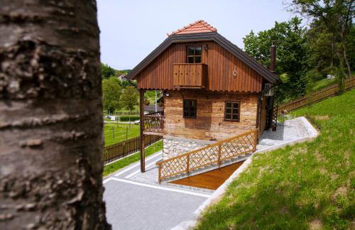 Vila Trnoružica - Foto 41