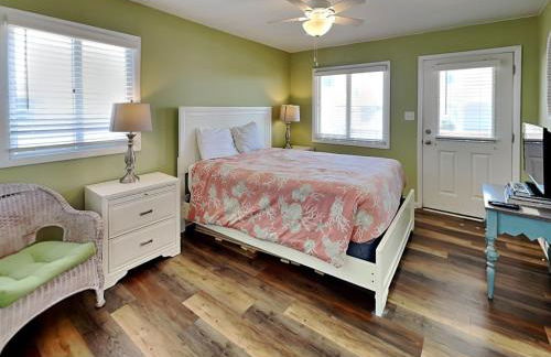 Turtle Sanctuary - Foto 18