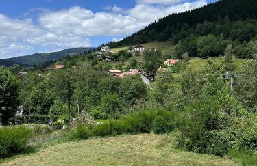 L'Orpin Givré - Chalet Limoselle avec grande mezzanine - Foto 10