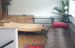Cozy central APARTMENT Leopoldstrasse -3,5 rooms with sauna and garden - Foto 30