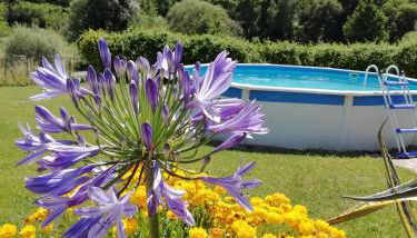 Nova Alofa holiday home - Foto 4, Garden